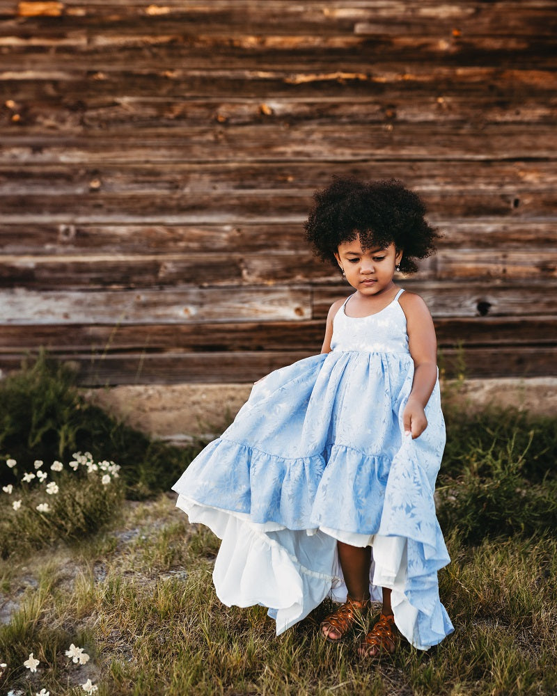 Blue Daisy Ruffle Dress