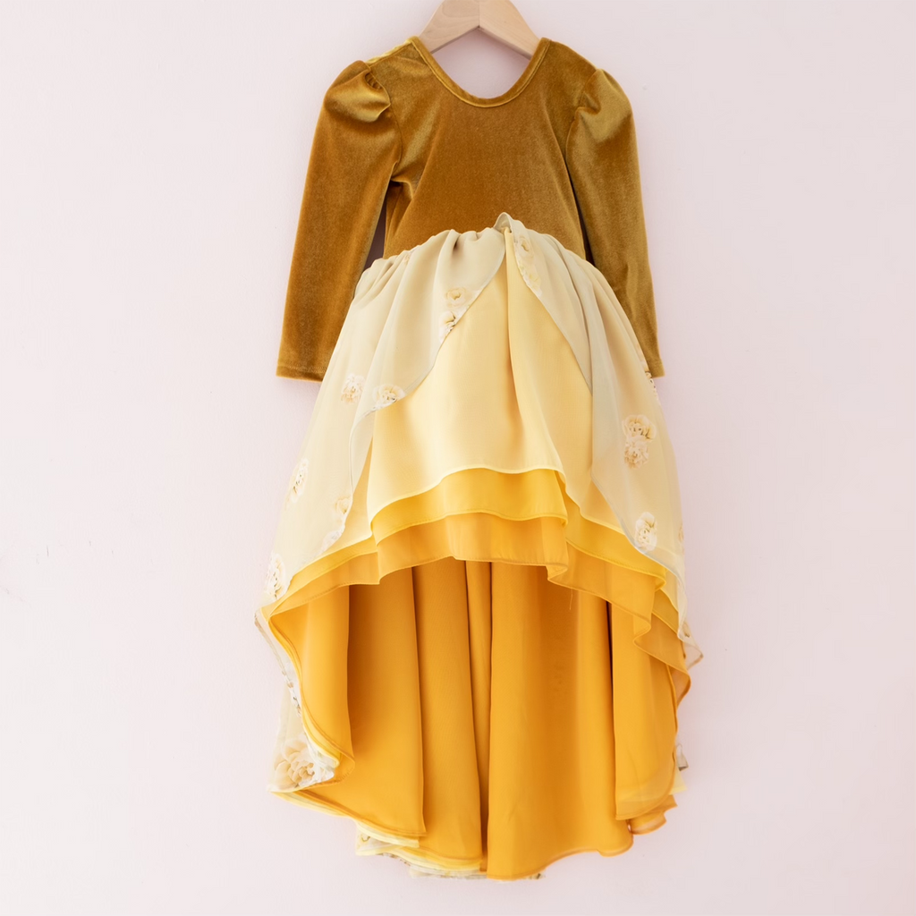 Beauty Princess Dress