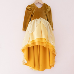 Beauty Princess Dress