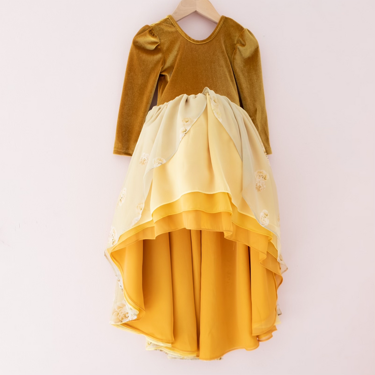 Beauty Princess Dress